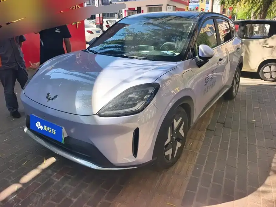 Wuling Motors Wuling Bingo S Model 325km Flagship Edition 2025