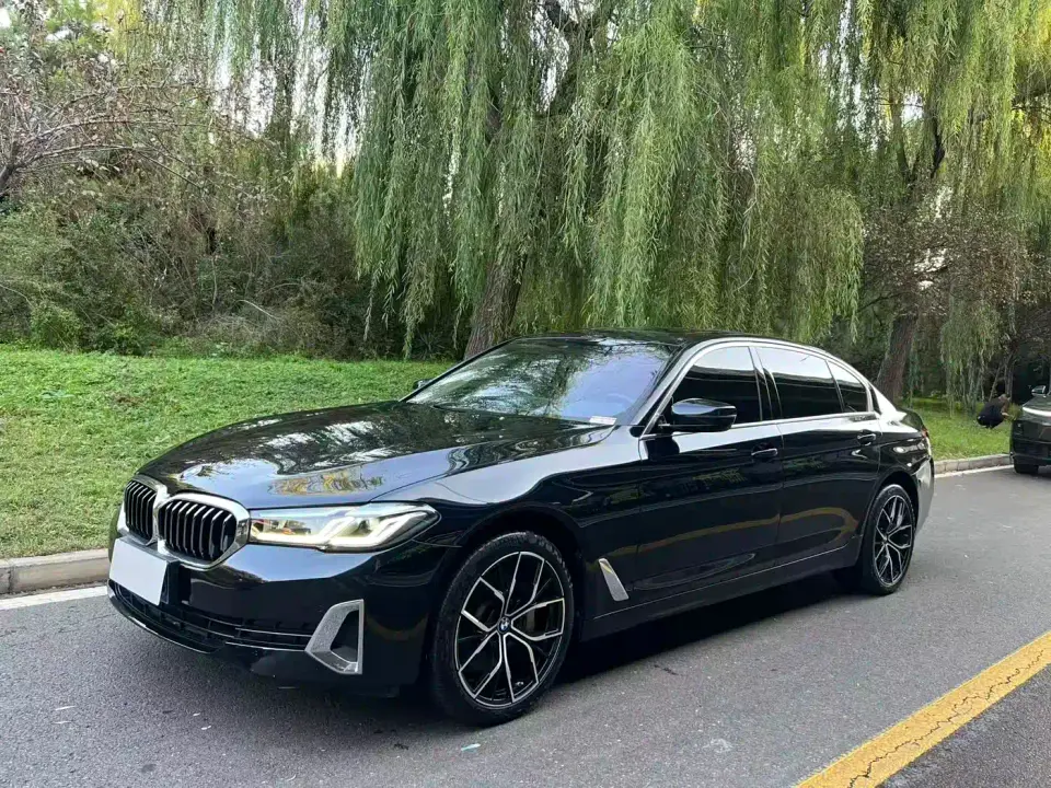 BMW 5 Series 530Li Leading Luxury Package 2021