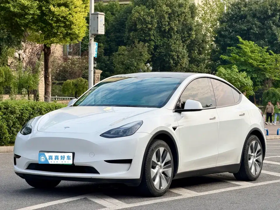 Tesla Model Y Rear-Wheel Drive Version 2022