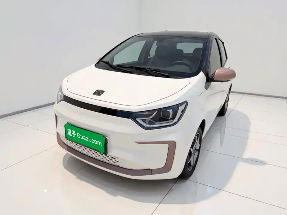 Sehol Flower Fairy Anniversary Edition 301km Starlight 45kW 2023