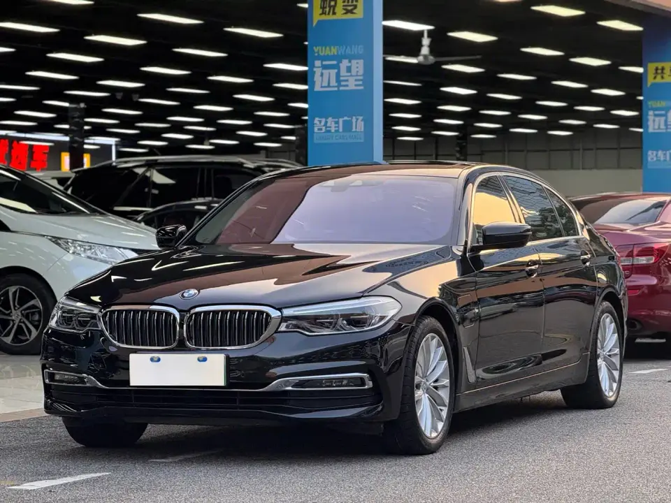 BMW 5 Series New Energy 530Le Luxury Package 2019