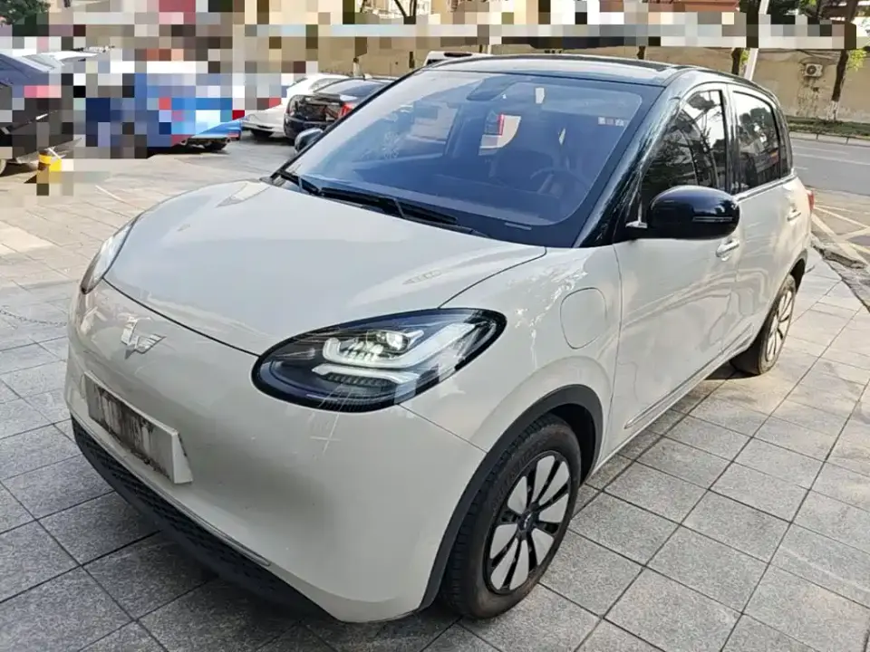 Wuling Motors Wuling Bingo 410km Lingxi Premium Edition 2023