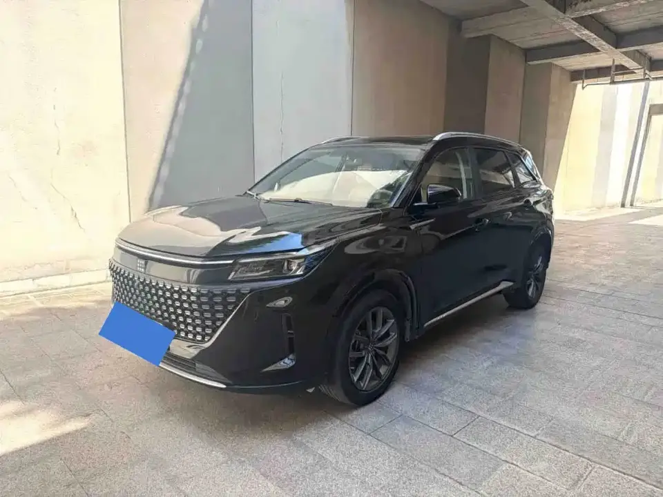 Landian E5 Glory Edition 100KM Comfort Type 7-Seater 2024