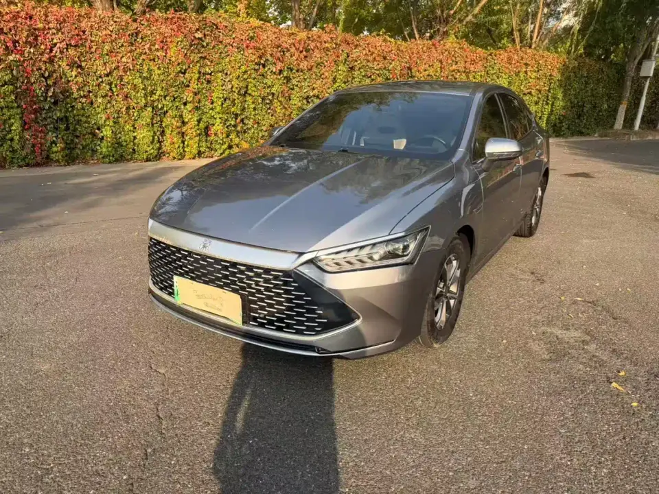 BYD Qin PLUS Champion Edition DM-i 55KM Leading 2023