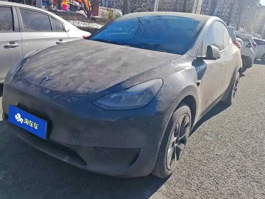 Tesla Model Y Rear-Wheel Drive Version 2024
