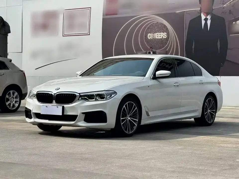BMW 5 Series Model 530Li xDrive M Sport Package 2020