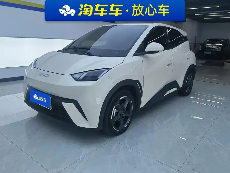 BYD Seagull Glory Edition 405km Soaring Edition 2024