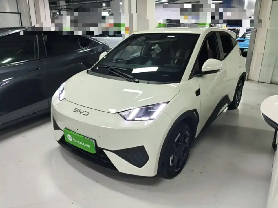 BYD Seagull Smart Drive Edition 305km Freedom Version 2025