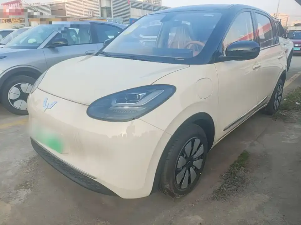 Wuling Motors Wuling Bingo Model 333km Joy Edition 2026