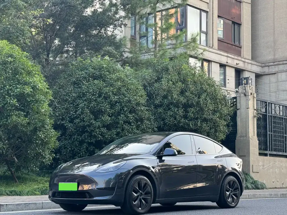 Tesla Model Y Rear-Wheel Drive Version 2024