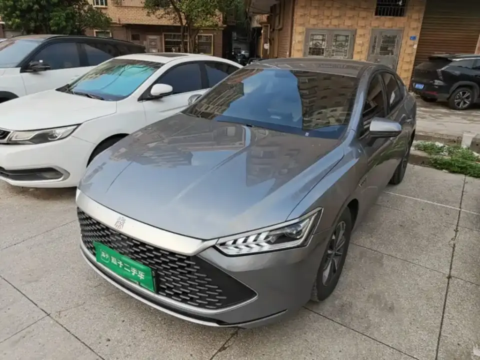 BYD Qin PLUS Glory Edition DM-i 55KM Leading 2024