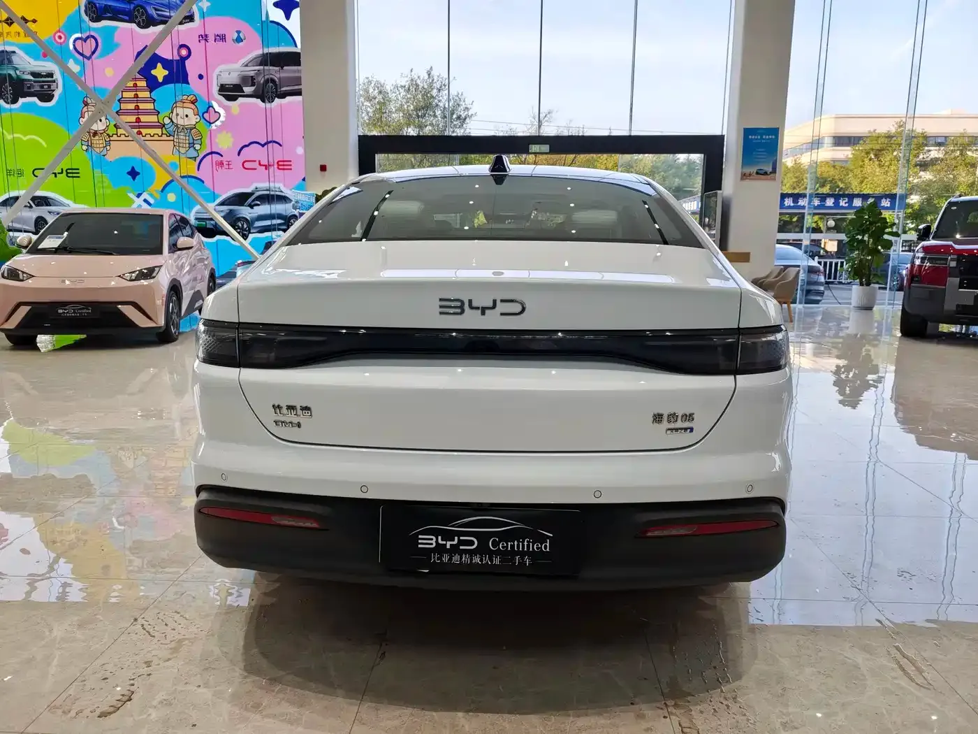 BYD Hai Bao 05 DM-i DM-i Smart Driving Edition 120KM Flagship 2025 — фото 6