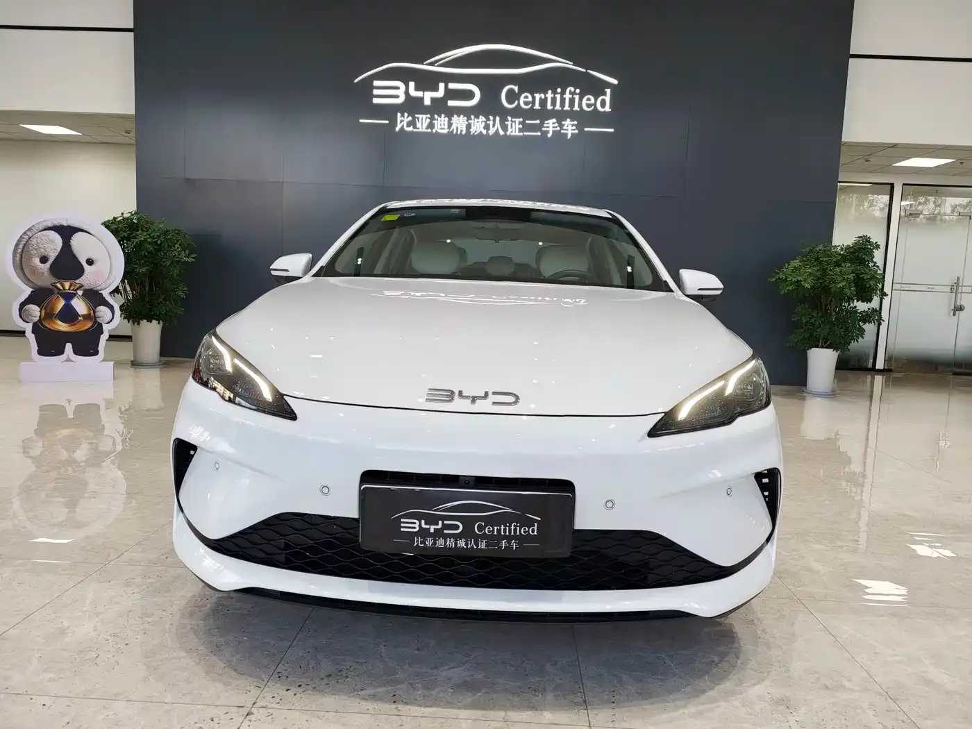 BYD Hai Bao 05 DM-i DM-i Smart Driving Edition 120KM Flagship 2025 — фото 2