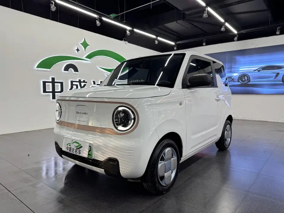 Geely Galaxy Panda Panda mini 200km Endurance Bear 2024