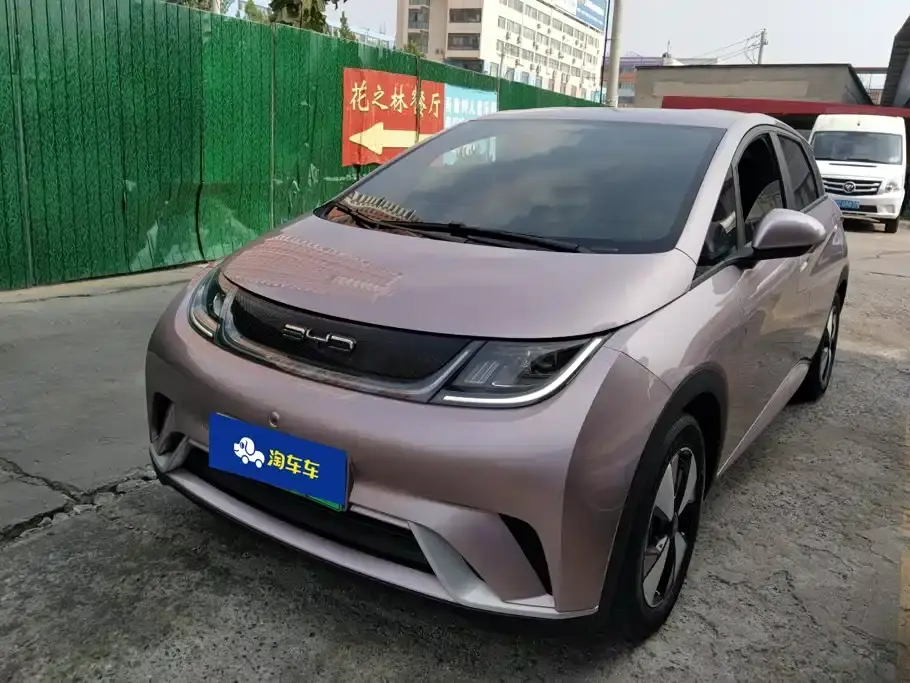 BYD Dolphin 420km Freedom Edition 2024