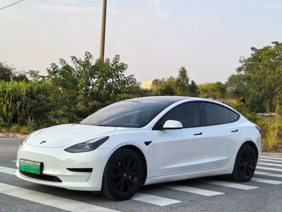 Tesla Model 3 Standard Range Rear-Wheel Drive Upgrade 3D6 2021