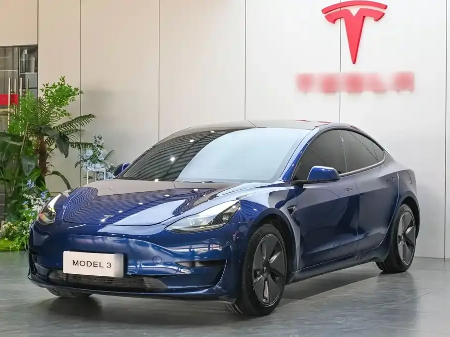 Tesla Model 3 Standard Range Rear-Wheel Drive Upgrade 2021