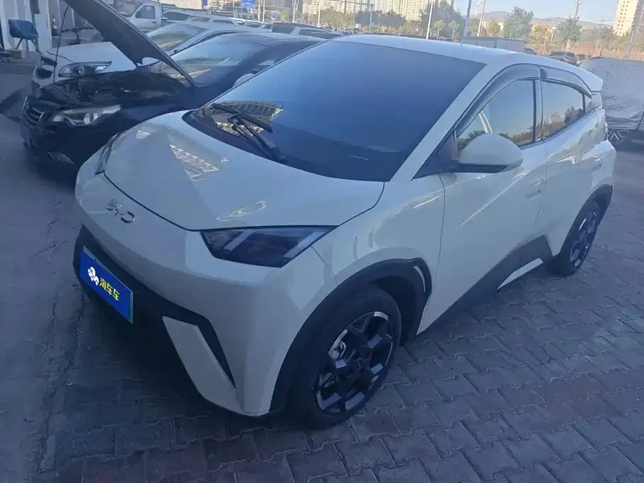 BYD Seagull 405km Soaring 2024