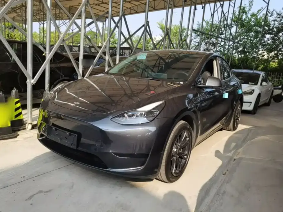 Tesla Model Y Rear-Wheel Drive Version 2024