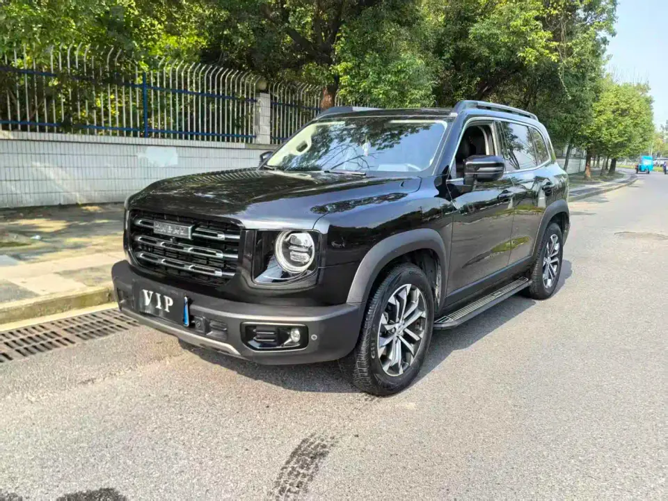Haval Big Dog 1.5T DCT 2WD Border Collie Edition 2020