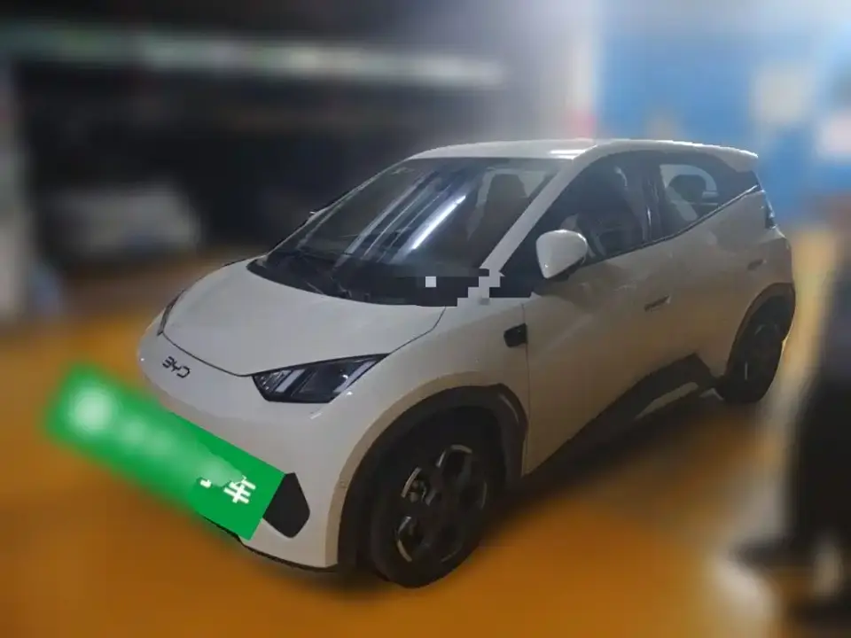 BYD Seagull Smart Drive Edition 305km Freedom Version 2025