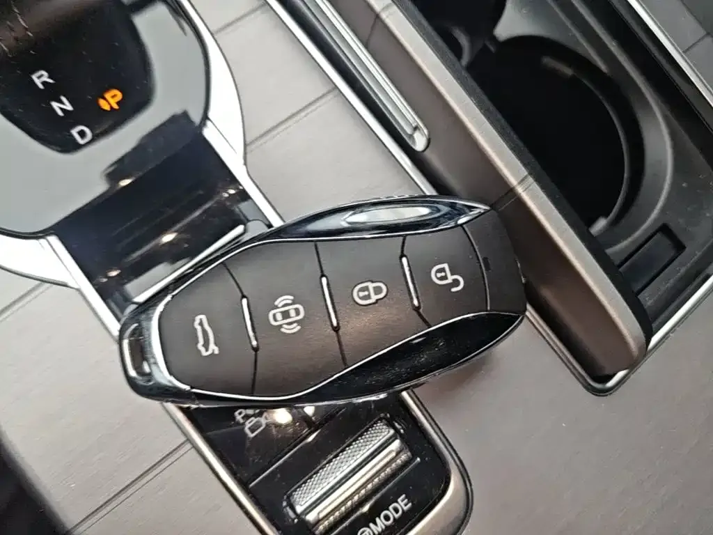 Hongqi HS7 PHEV 2.0T PHEV AWD Qichang Edition 7-seater 2024 — фото 8