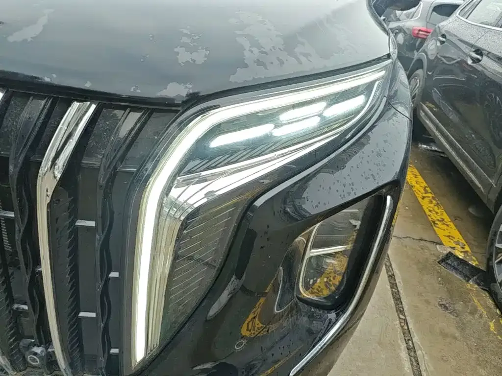 Hongqi HS7 PHEV 2.0T PHEV AWD Qichang Edition 7-seater 2024 — фото 23
