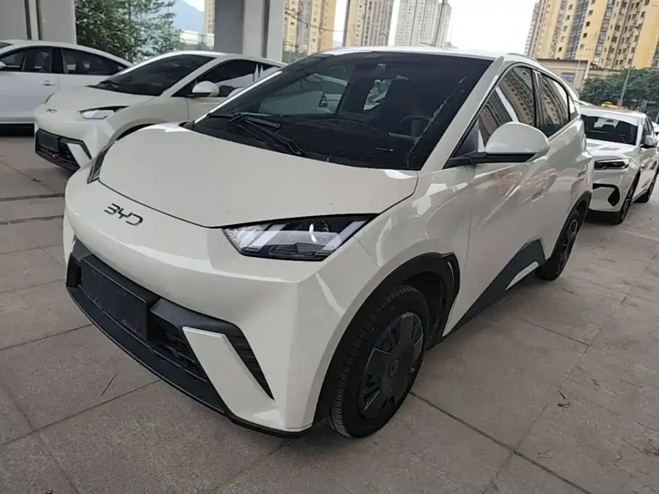 BYD Seagull 305km Vitality 2024