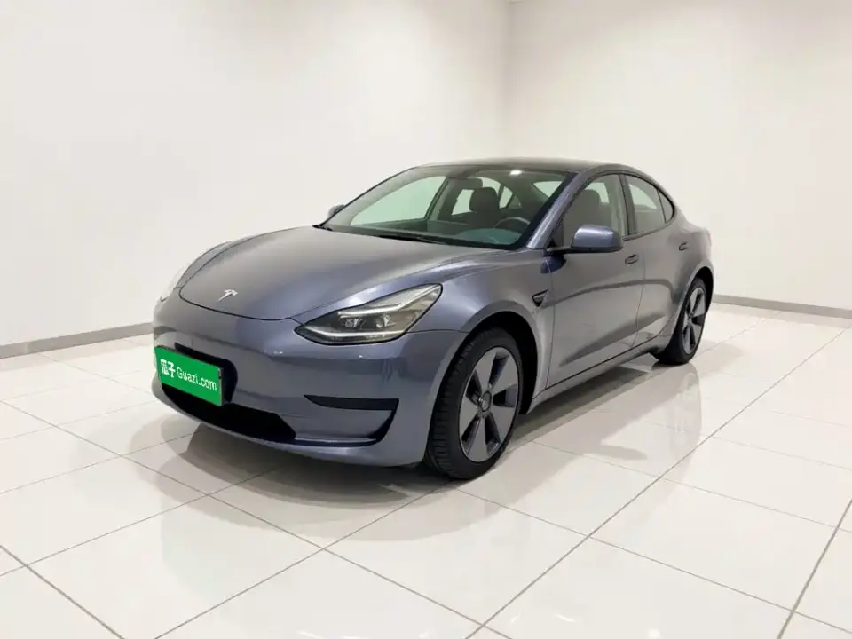 Tesla Model 3 Model Rear-Wheel Drive Version 2022