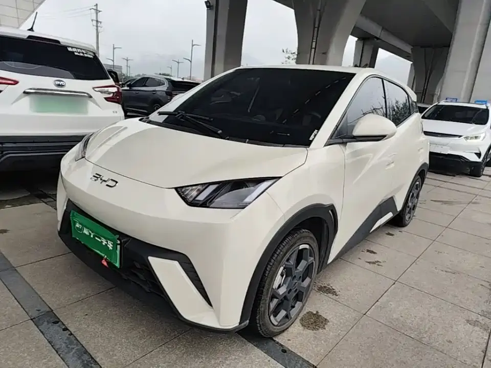 BYD Seagull Glory Edition 305km Vitality Edition 2024