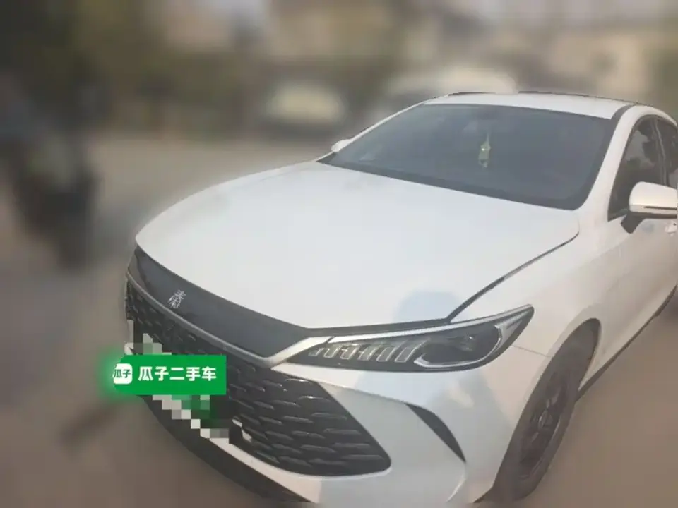 BYD Qin PLUS DM-i Smart Drive 55KM Leader 2025