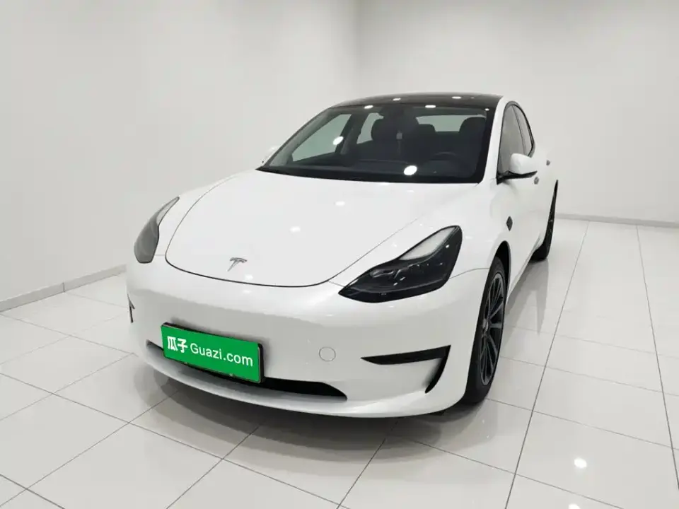 Tesla Model 3 Standard Range Rear-Wheel Drive Upgrade 2021