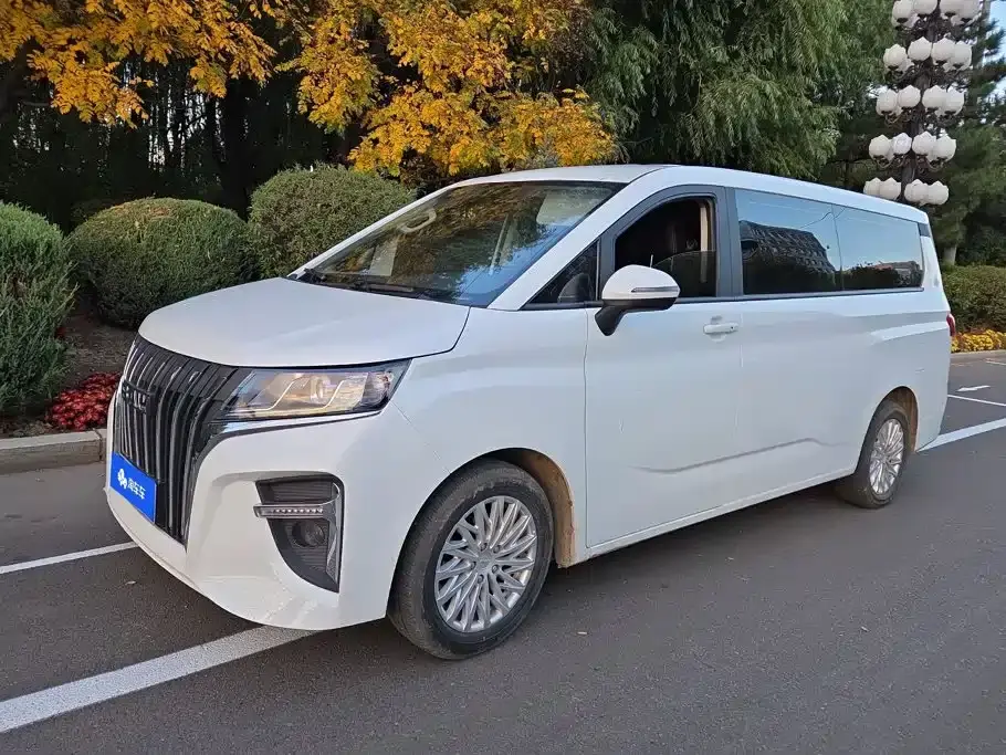 BAW (Beijing Automobile Works) Ruisheng Ace M7 2.0L Automatic Long Wheelbase Business 9-Seater 2024