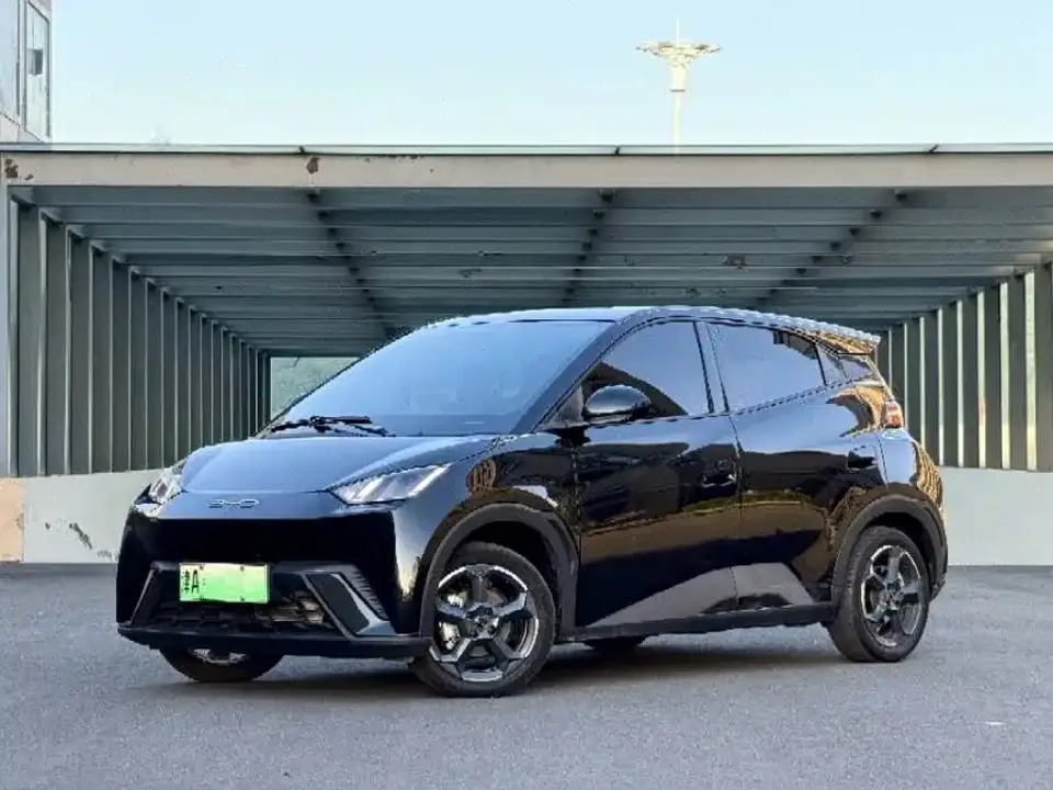 BYD Seagull Freedom Edition 2023