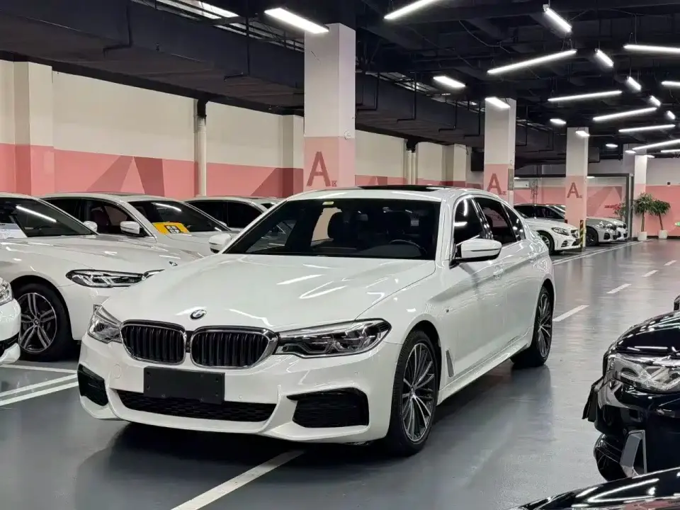 BMW 5 Series 530Li Leading M Sport Package 2020