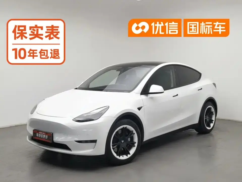 Tesla Model Y Standard Range Rear-Wheel Drive 2021