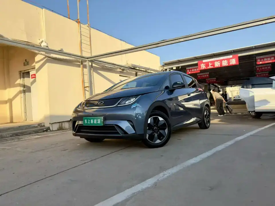 BYD Dolphin Glory Edition 420km Fashion Edition 2024