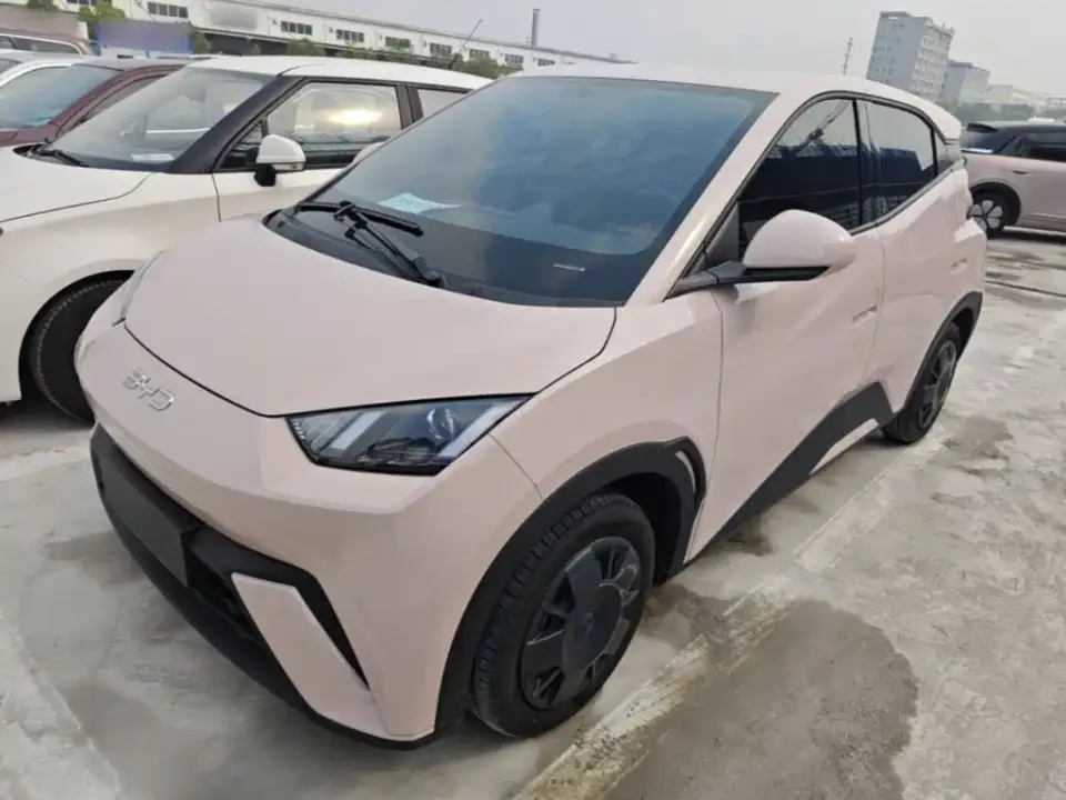 BYD Seagull Glory Edition 305km Vitality Edition 2024