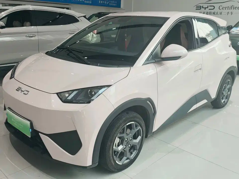 BYD Seagull 305km Vitality 2025