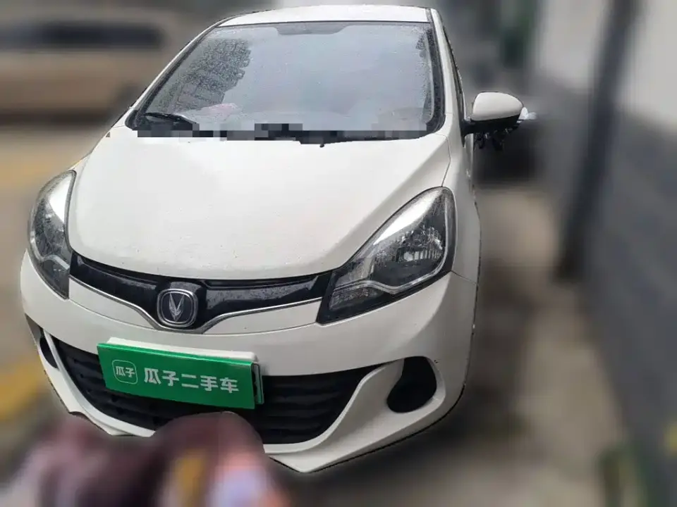 Changan Benben E-Star National Edition Delight (Ternary Lithium) 2021