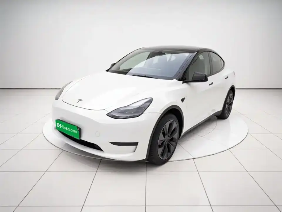 Tesla Model Y Long Range AWD 2024