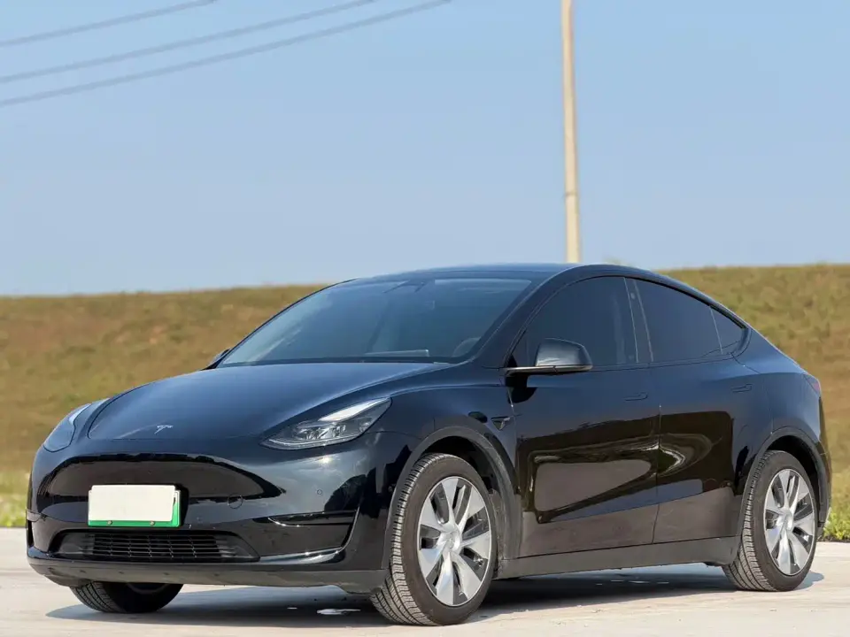 Tesla Model Y Rear-Wheel Drive Version 2022