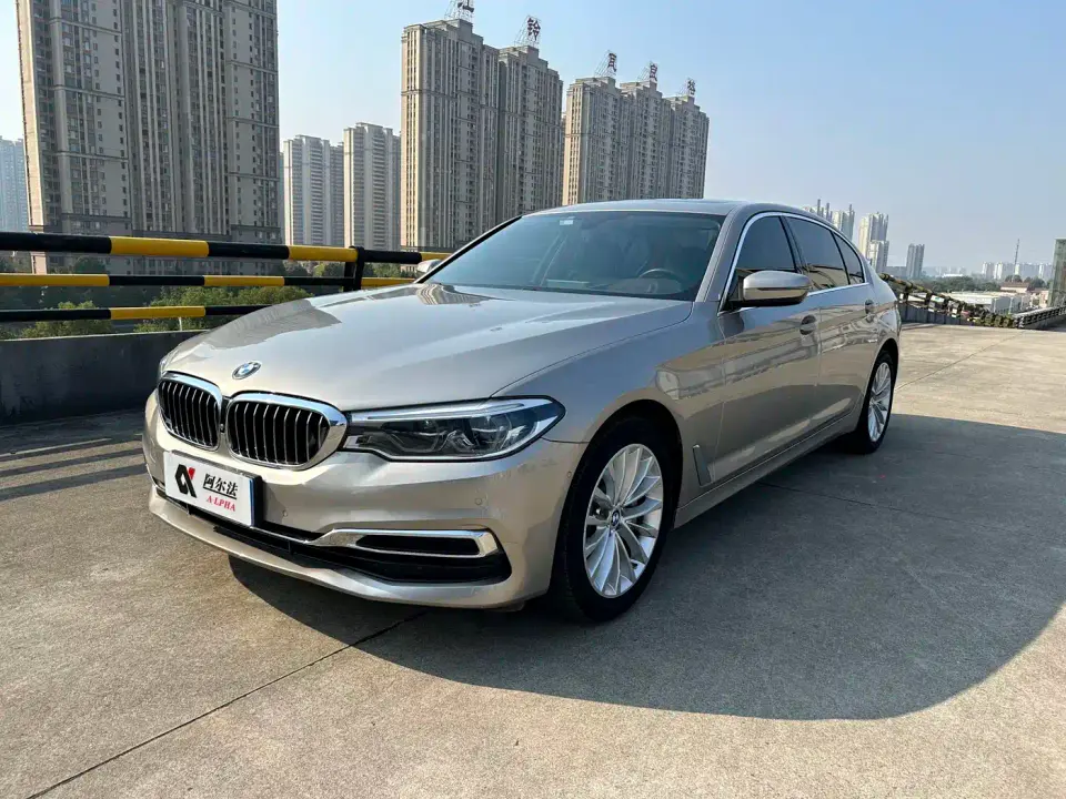 BMW 5 Series 530Li Premium Luxury Package 2020