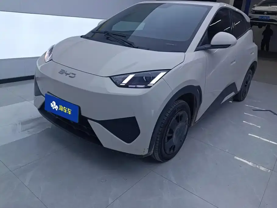 BYD Seagull Smart Drive Edition 305km Vitality Version 2025