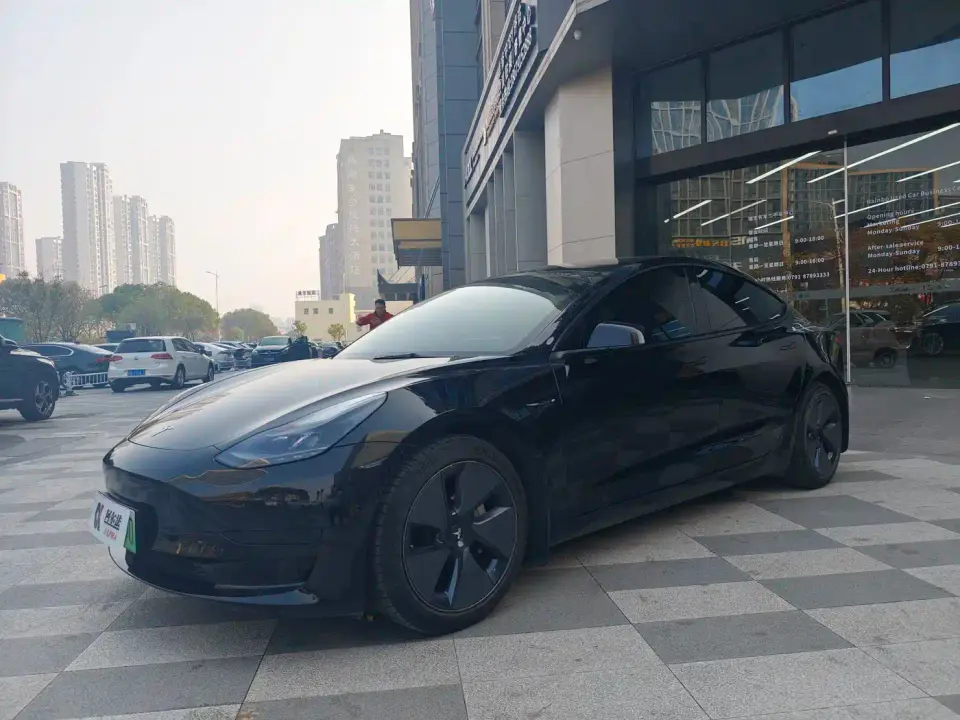 Tesla Model 3 Standard Range Rear-Wheel Drive Upgrade 2021