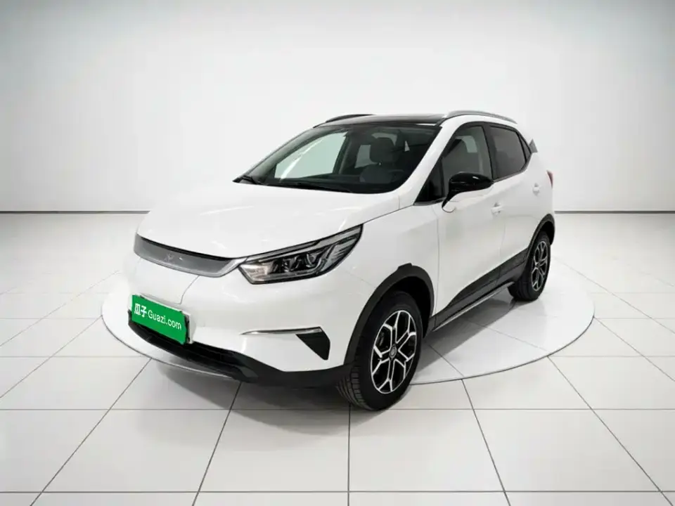 BYD Yuan Pro Lifetime Love Edition 2021