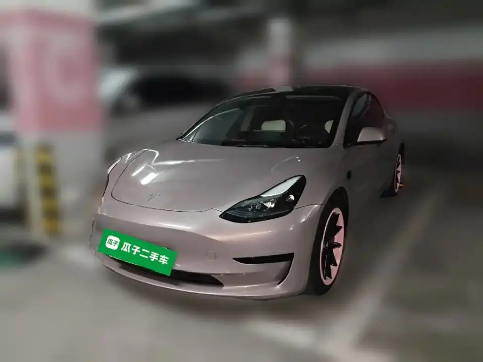 Tesla Model 3 Model Rear-Wheel Drive Version 2022