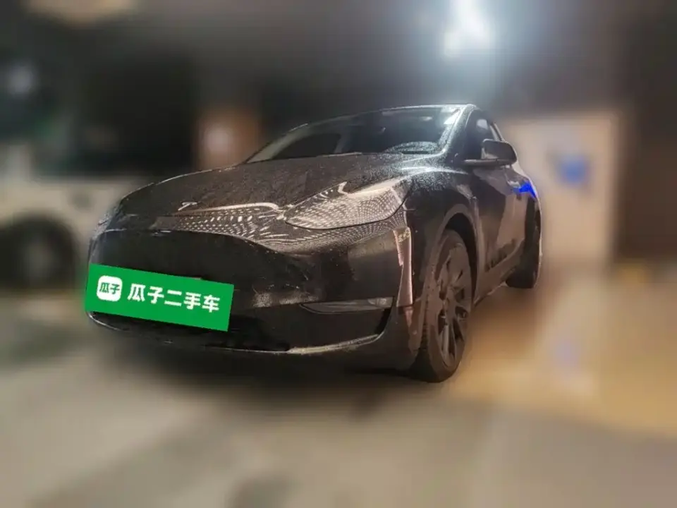 Tesla Model Y Model Long Range AWD 2021