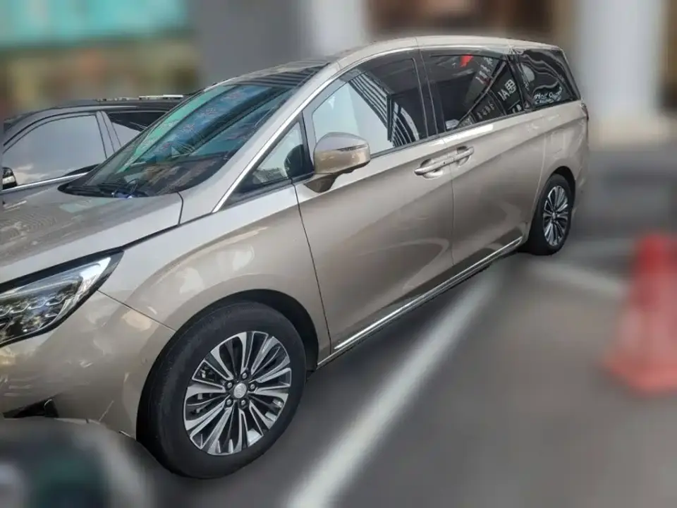 Buick GL8 ES Landmaster Luxury 2024
