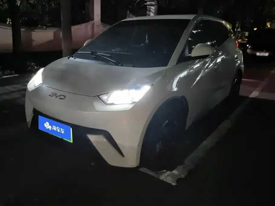 BYD Seagull 305km Freedom 2024